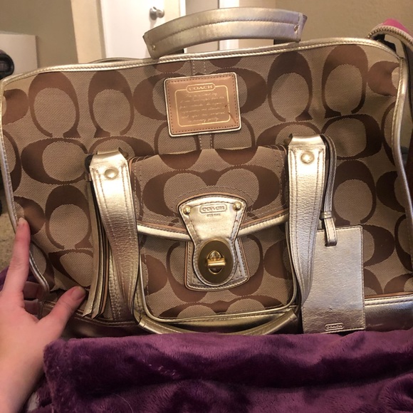 coach signature pet carrier
